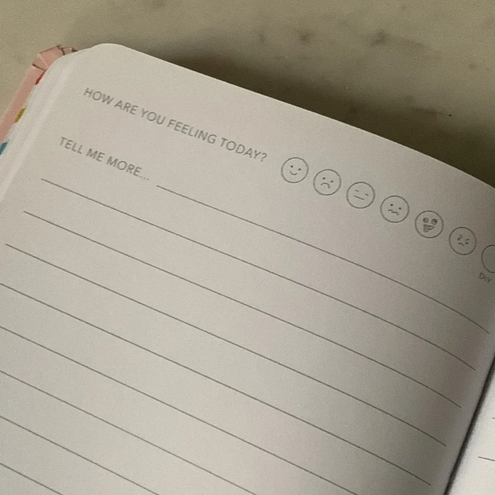Hallmark Pink “All the Feels” Journal